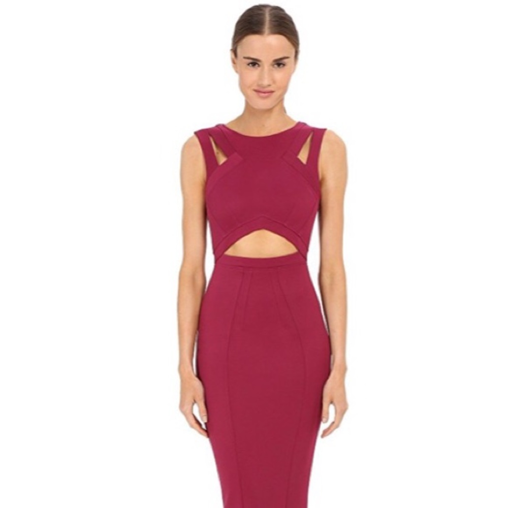 Zac Posen Claire Gown NWT